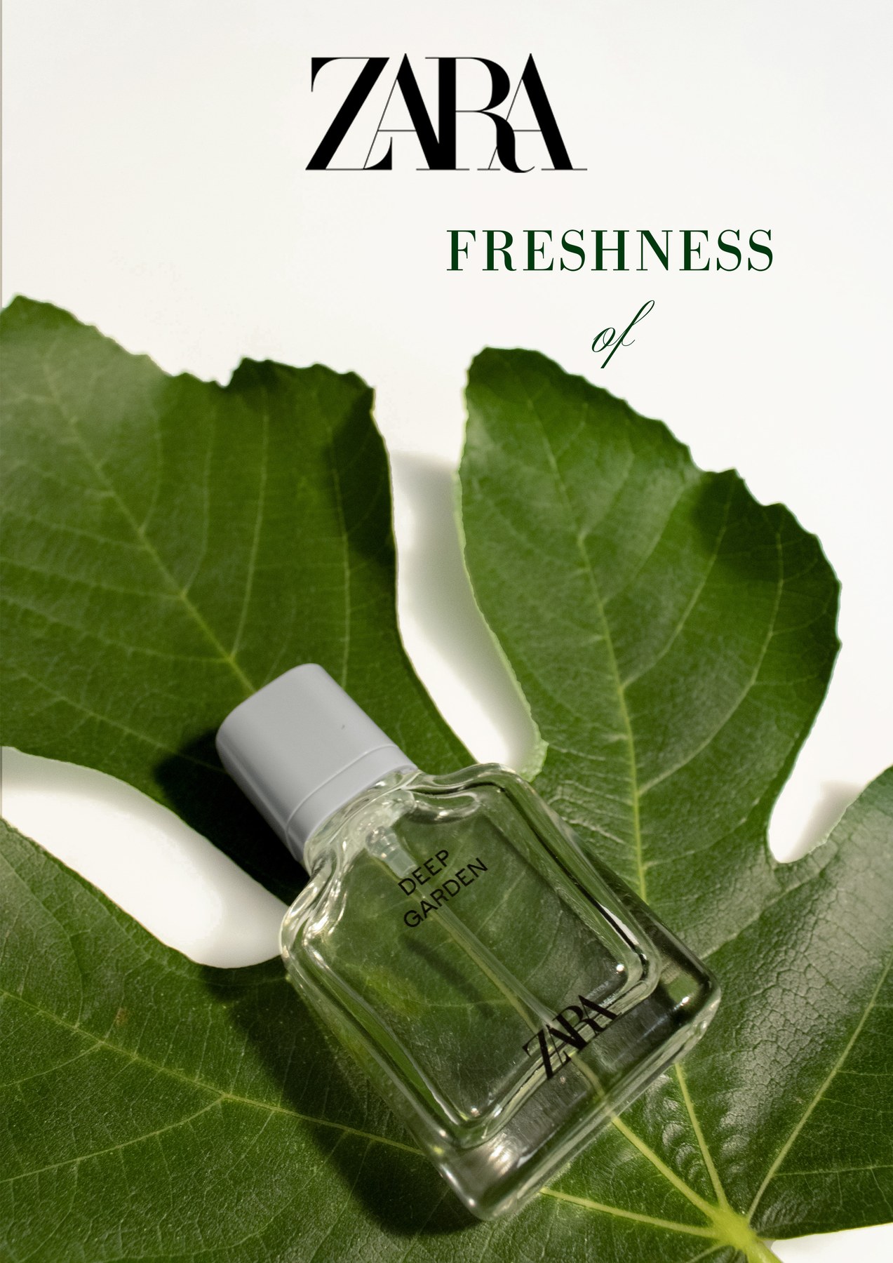 Freshness of, druhý motív